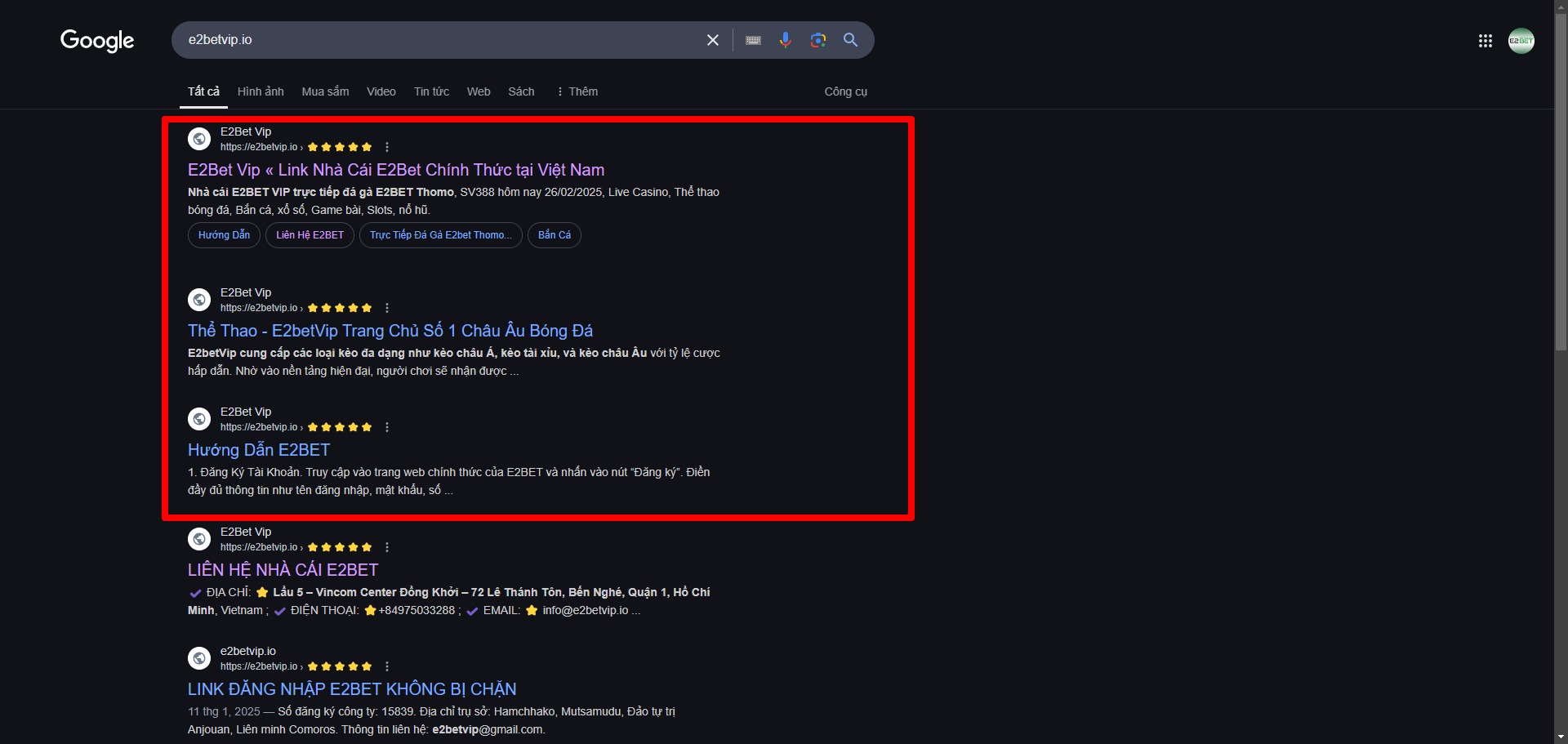 Nhà cái E2bet Vip trên Google